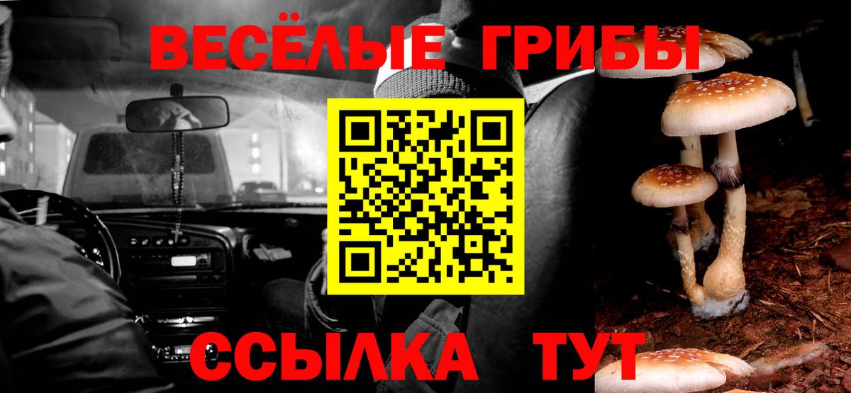 Псилоцибиновые грибы мицелий Железноводск