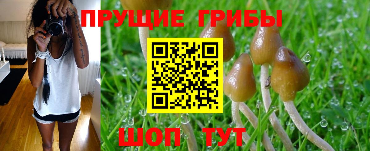 Псилоцибиновые грибы Psilocybe  Галлюциногенные грибы ЛСД  Железноводск  Вход с VPN 